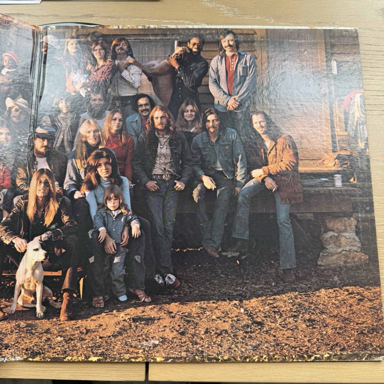1973 The Allman Brothers Band Brothers And Sisters LP US Press + Original Sleeve