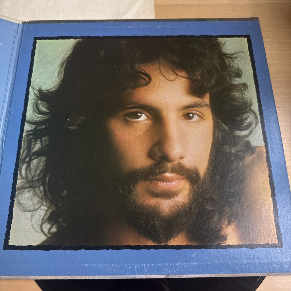 1970s Cat Stevens Teaser And The Firecat Gatefold LP US Pressing + Sleeve