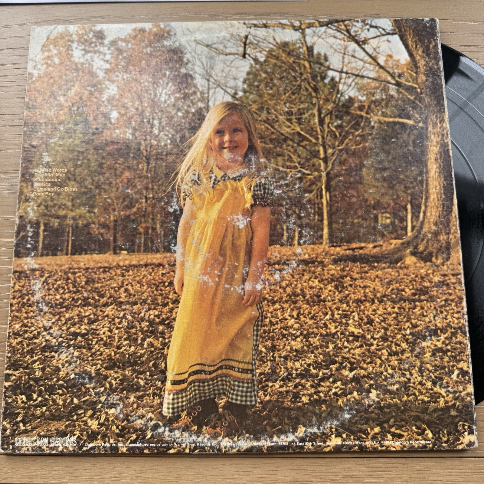 1973 The Allman Brothers Band Brothers And Sisters LP US Press + Original Sleeve