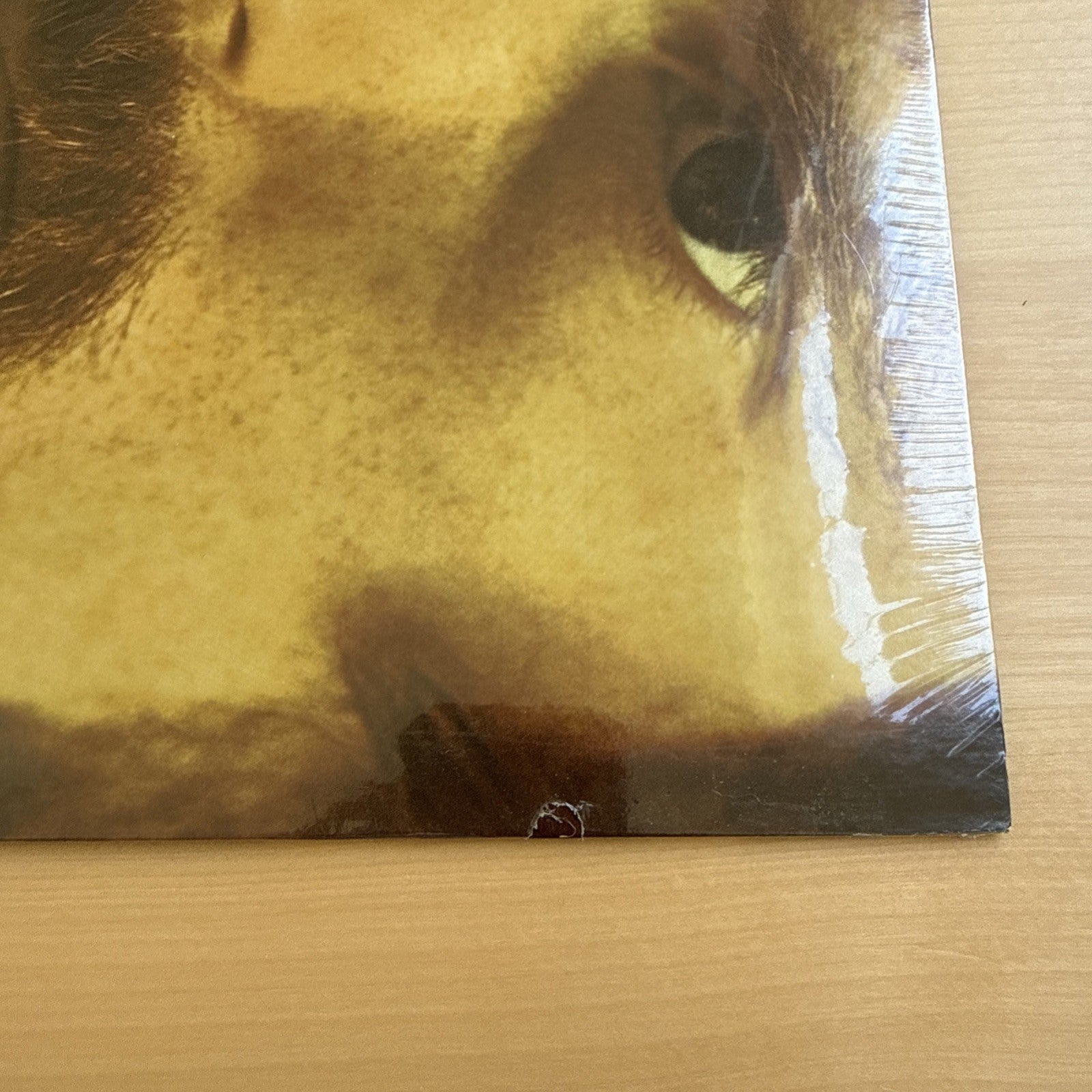 SEALED Van Morrison Moondance US Vintage Pressing Vinyl LP Warner Brothers!